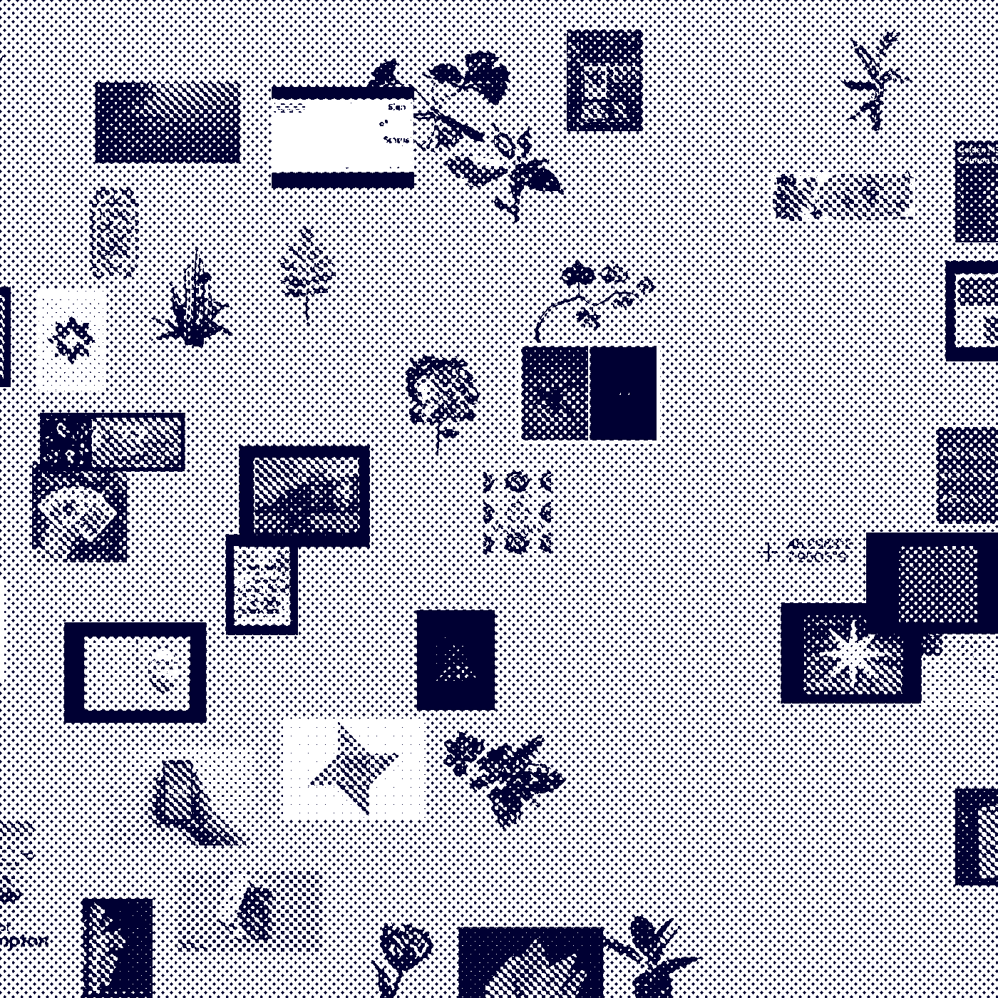 Biodiversity